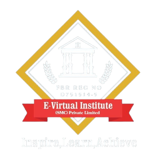 E-Virtual Institute